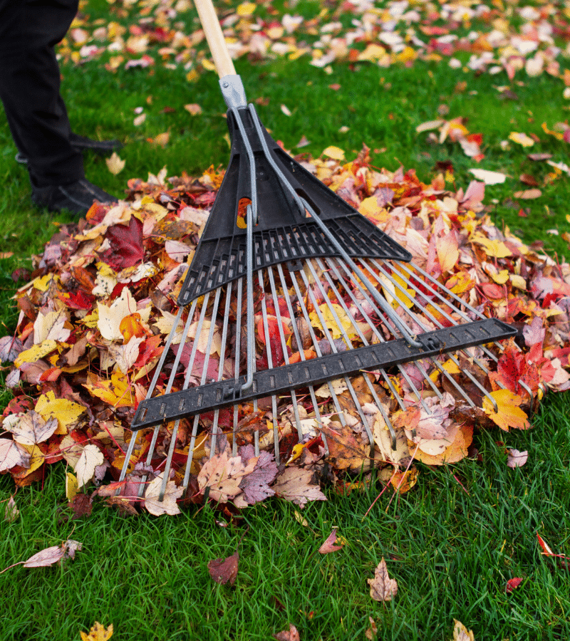 Leaf Removal Company in Fairfield CT