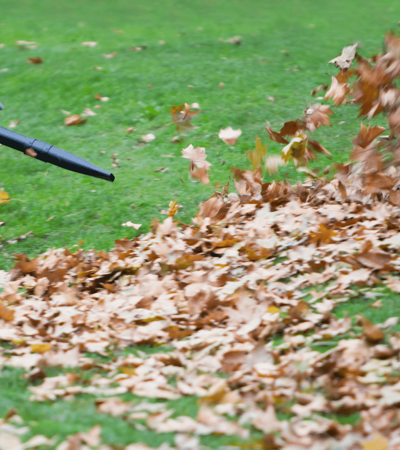 Top Leaf Removal Company in Fairfield CT